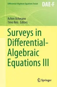 Surveys in Differential-Algebraic Equations III