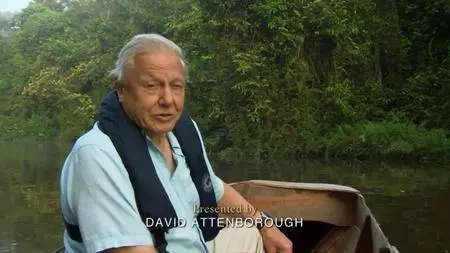BBC - Attenborough: 60 Years in the Wild (2012)