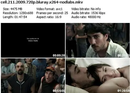 Cell 211 (2009)