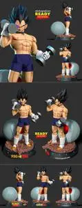 Vegeta with gym