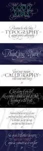 Dream Script Pro Font Family