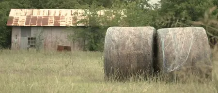 90 Feet from Home (2019)