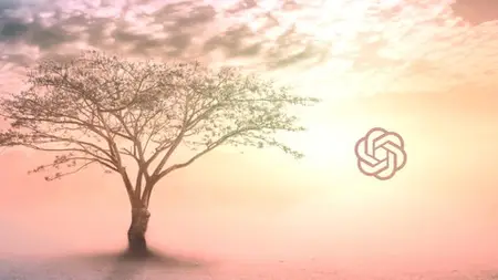 Reset Within: A Healing Transformation Journey