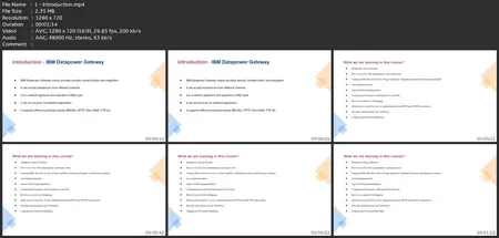 Ibm Datapower Development - Basics