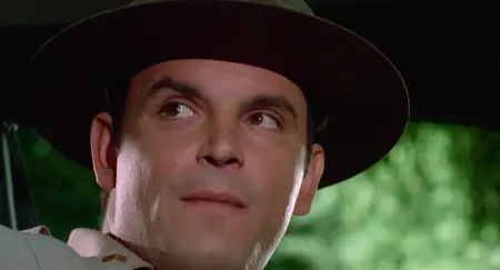 Up! (1976)