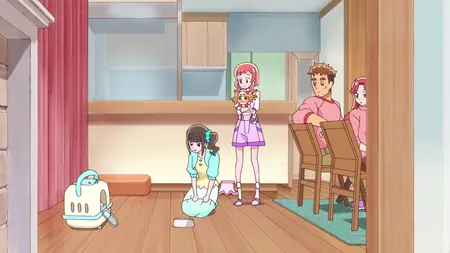 Wonderful Precure - 14