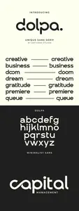 Dolpa Elegant Sans Logo Font 2XY3PR4