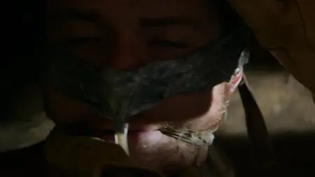 Criminal Minds S08E05