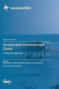 Sustainable Development Goals: A Pragmatic Approach