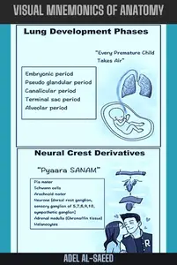 Visual Mnemonics of Anatomy