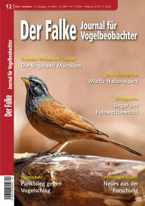 Der Falke Journal für Vogelbeobachter - Dezember 2024