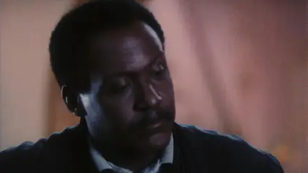 Body of Influence (1993)