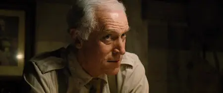 Beneath Hill 60 (2010)