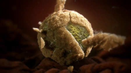 Inside the Human Body (2011)
