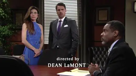 The Young and the Restless S46E228