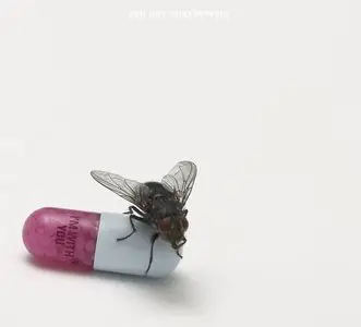Red Hot Chili Peppers – I'm With You (2011) {Warner}