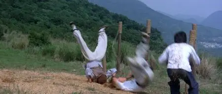 The World of the Drunken Master (1979)