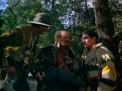 Spirit of the Eagle (1991)