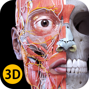 Anatomy Learning - 3D Anatomy v2.1.374