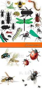 Insects vector 