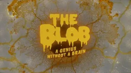 BBC - The Blob: A Genius without a Brain (2021)