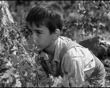 Marcellino Pane e Vino (1955)
