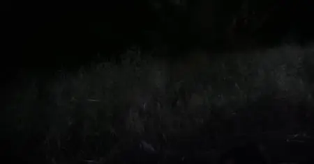Medal of Honor S01E07