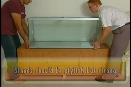 Your Instructional Tropical Aquarium Guide