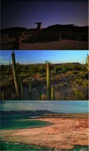 Moving Art: Deserts (2014)