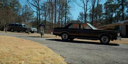 Stranger Things S02 (2017) [Complete Season]