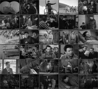 49th Parallel (1941)