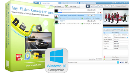 Any Video Converter Professional 6.0.5 DC 29.11.2016 Multilingual + Portable