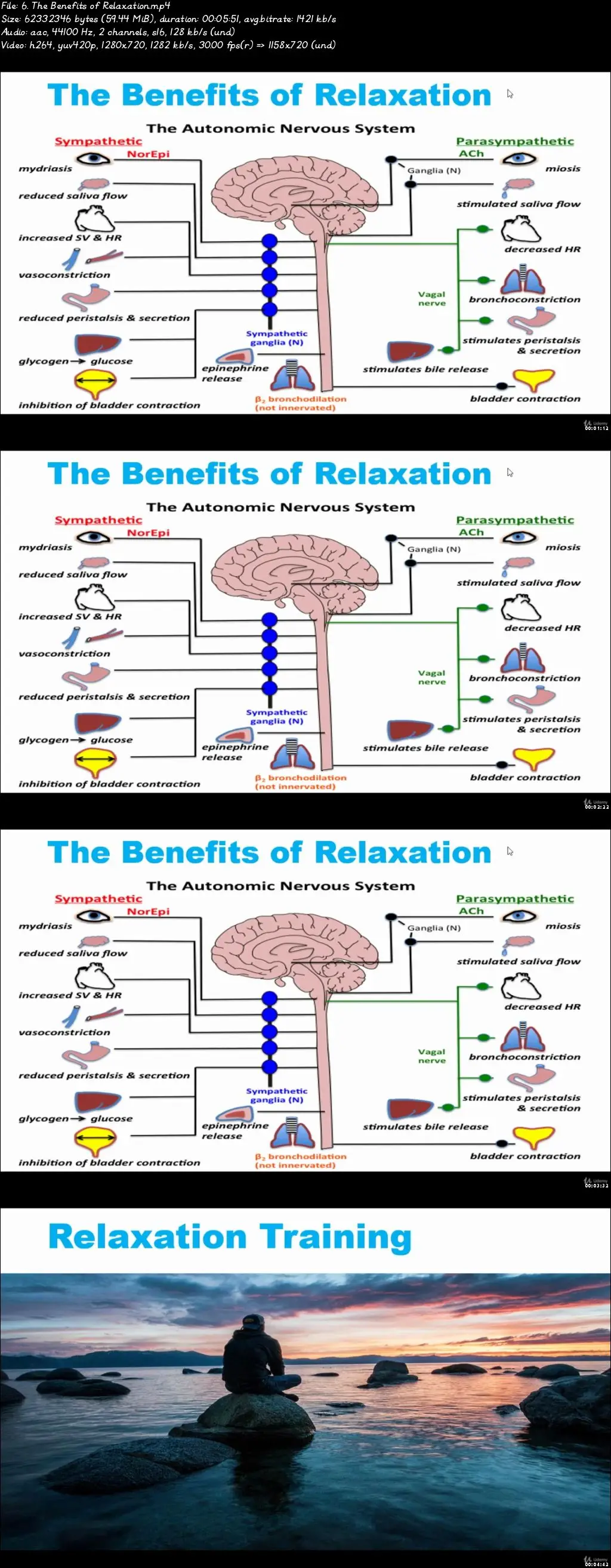 Neuroplasticity: How To Rewire Your Brain / AvaxHome