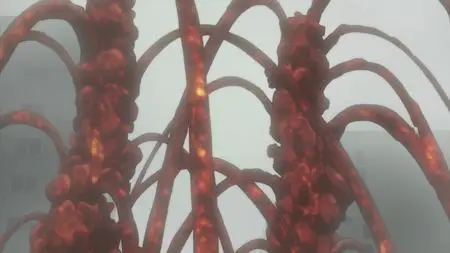 A I C O Incarnation BD BOX TV SP A I C O Incarnation 04 (BD 1920x1080 x 264 FLACx2 mkv" yEnc