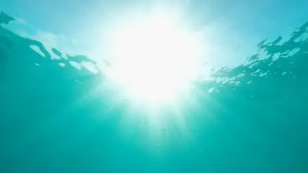 PBS - H2O: The Molecule That Made Us (2020)