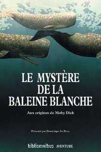 Le mystère de la baleine blanche - Dominique le Brun