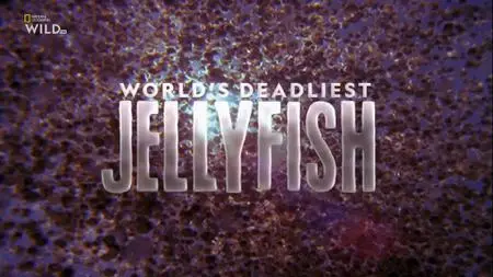 NG. - World's Deadliest Jellyfish (2021)