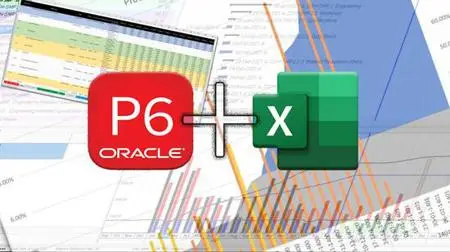 Update Progress Workshop with Primavera P6