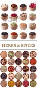Stock Photo - Herbs & Spices