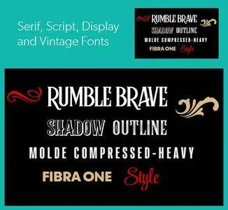 Serif, Script, Display & Vintage Fonts (8 Fonts)