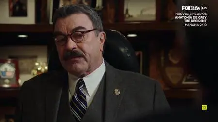 Blue Bloods S08E18