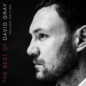 David Gray - The Best Of David Gray (Deluxe Edition) (2016)
