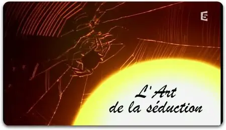 (Fr5) L'Art de la Séduction (2013)