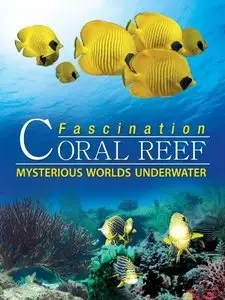 Fascination Coral Reef: Mysterious Worlds Underwater (2013)