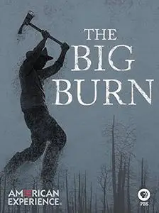 American Experience: The Big Burn (2015)