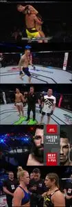 UFC Fight Night 111 (2017)