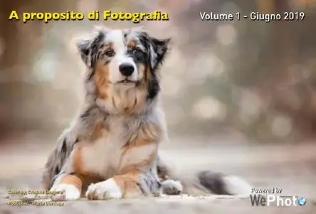 WePhoto A proposito di fotografia - Volume 1 Giugno 2019