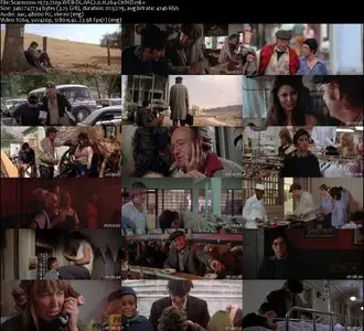 Scarecrow (1973)