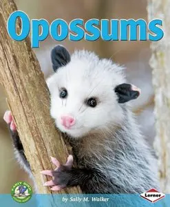 Opossums (Early Bird Nature Books) (repost)