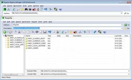 Registrar Registry Manager Pro 8.00 Build 800.31123 Portable (x86/x64)